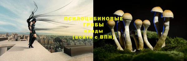 ГАЛЛЮЦИНОГЕННЫЕ ГРИБЫ Верхний Тагил
