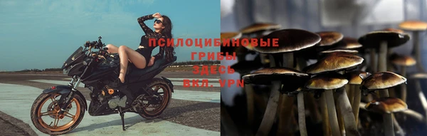 ГАЛЛЮЦИНОГЕННЫЕ ГРИБЫ Верхний Тагил
