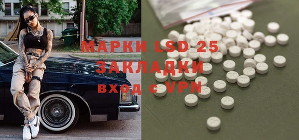 ГАЛЛЮЦИНОГЕННЫЕ ГРИБЫ Верхний Тагил