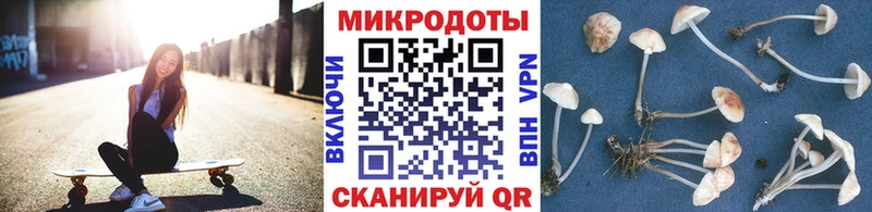 Галлюциногенные грибы MAGIC MUSHROOMS как найти Кириши
